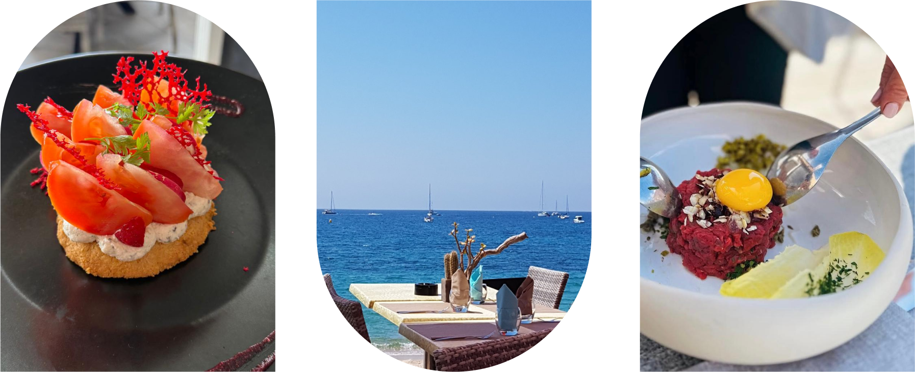 Le 20118 - Restaurant Sagone - restaurant sympa SAGONE