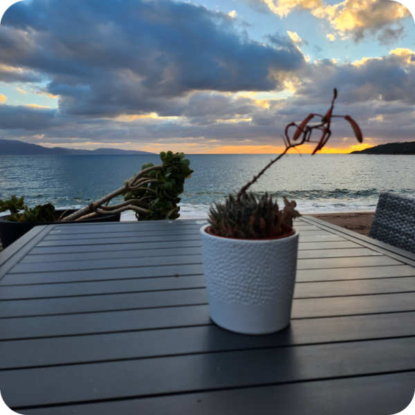 Le restaurant - Le 20118 - Sagone - top restaurant SAGONE